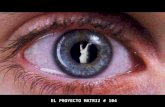 El Proyecto Matriz #104.  ESPAÑA: CONEJILLOS DE INDIAS HUMANOS
