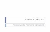 Luis González Joyanes / #1 / Sarín y gas cs