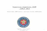 Expertos argentina formación aagm uimla 2013