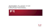 Manual adobe flash cs3