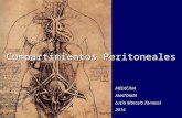Compartimientos peritoneales