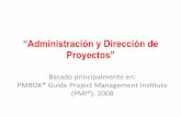 PMI Proyecto 2015