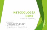 Metodología de Auditoria Informatica