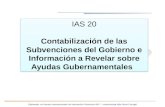 3 Ias_20 Subvenciones Del Gobierno