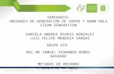 Seminario Generadores de Vapor y DHSG.