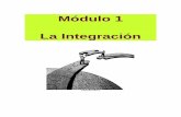 Derecho de La Integración - Mídulo I