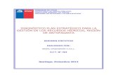 2012 - DGA DIAGNOSTICO PLAN ESTRATEGICO HIDRICO R. ANTOFAGASTA.pdf