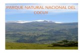 Parque Nacional Del Cocuy
