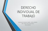 DERECHO INDIVIDUAL de TRABAJO, Contrato de Trabajo, Contratos en El Sector Publico