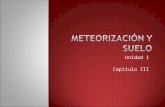 Meteorización y Suelo
