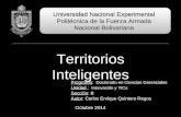 01 Territorios Inteligentes - Equipo 1 - OCT14