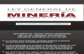 Ley General de Minería Exposicion Completa
