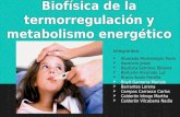 Biofísica de La Termorregulación y Metabolismo Energético