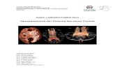 Guía de Anatomía Del Sistema Nervioso Central