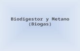 Biodigestor y Metano Biogas
