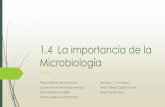 1.4 Importancia de La Microbiología, Equipo 1