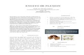 ENSAYO DE FLEXION- CAMILO FONTALVO (1).doc