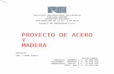 Proyecto de Acero y Madera