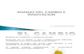 Manejo Del Cambio e Innovacion