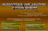1. Fagocitosis e Inflamación