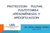 Proteccion Pulpar Pulpotomia Apexificacion 2015
