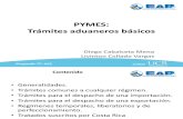 Tramites aduaneros basicos para PYMES.pdf