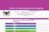Generalidades y Semiología Dermatológica
