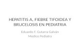 Hepatitis a, Fiebre Tifoidea y Brucelosis En