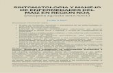 Sintomatologia y Manejo de Enfermedades Del Maiz en Region Noa