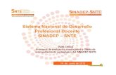 Procesos de Evaluacion Convocados y Oferta de Acompanamiento Del Sinadep