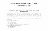 Animales extintos en los ultimos 100 años