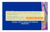 Microsoft PowerPoint - Clasea 3 y 4 El Sistema Nervioso