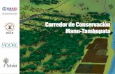 CORREDOR DE CONSERVACIÓN MANU-TAMBOPATA