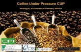 procesos de cafe