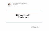 Clase 04 - Hidratos de Carbono