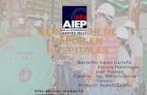 GENERADORES DE VAPOR EN HOSPITALES.pptx