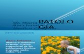 PATOLOGIA AMBIENTAL.ppt