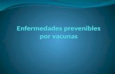 Enfermedades Prevenibles Por Vacunas