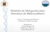 Medidas de Mitigación Para Derrames de Hidrocarburos