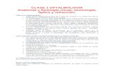 Clase 01 de Oftalmología - Anatomía y Fisiología Visual, Semiología , Óptica y Refracción (Dr. Orellana)