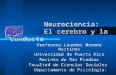 Neurociencia - El Cerebro y La Conducta