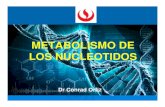 Semana 14A- Metabolsimo de Nucleotidos(2)