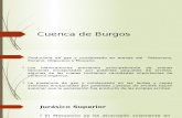 Cuenca de Burgos y Tampico-Misantla