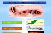 Virus Del Ebola