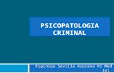 Psineuropatologia Criminal