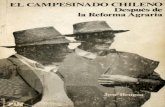 Bengoa, José - Campesinado Chileno Después de la Reforma Agraria.pdf