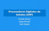 Procesamiento Digital de Señales (DSP)