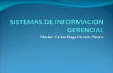 Sistemas de Informacion Gerencial Capitulo II