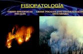 8. Fisiopatología de La Epilepsia Focal II - Dr. Willy Rewalz Zapata Luyo