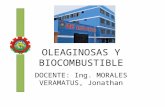 OLEAGINOSAS Y BIOCOMBUSTIBLE- CLASE 3.ppt